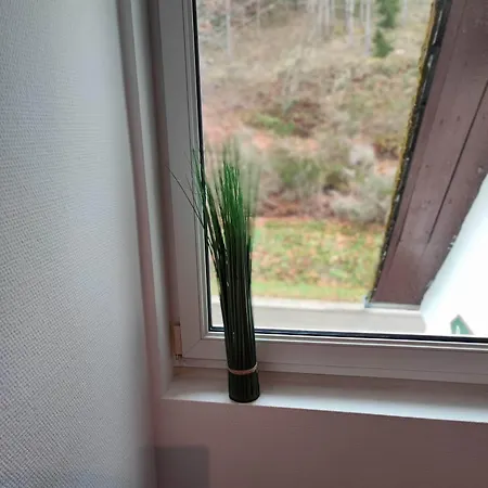 In Guest - Single With Shared Bathroom And Kitchen * Forbach